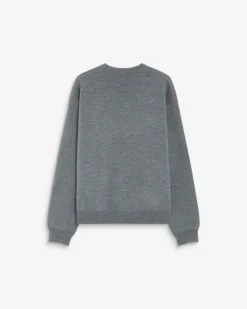 Pull à logo universitaire brodé gris Ashford